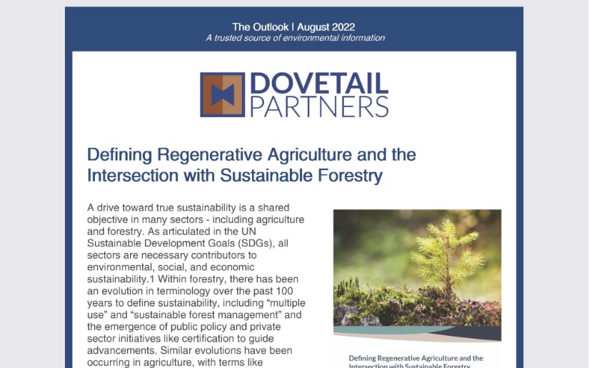 August Outlook 2022